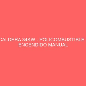 CALDERA 34KW - POLICOMBUSTIBLE - ENCENDIDO MANUAL