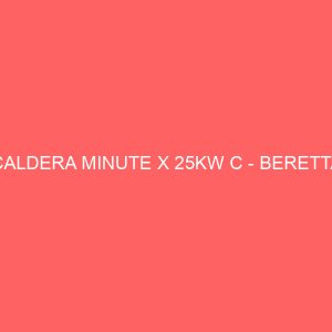 CALDERA MINUTE X 25KW C - BERETTA