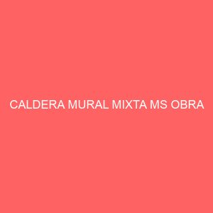 CALDERA MURAL MIXTA MS OBRA