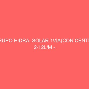 GRUPO HIDRA. SOLAR 1VIA(CON CENTR.) 2-12L/M - GRUNDFOS 25/70