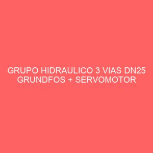 GRUPO HIDRAULICO 3 VIAS DN25 GRUNDFOS + SERVOMOTOR